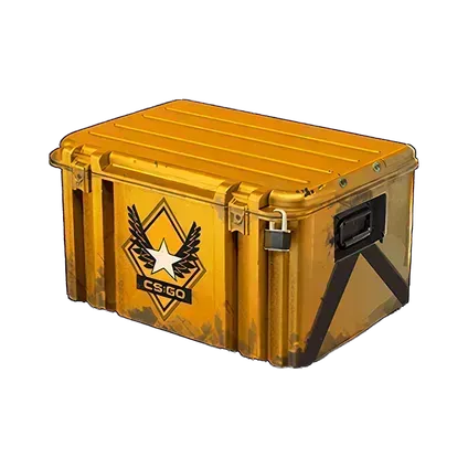 Winter Offensive Weapon case