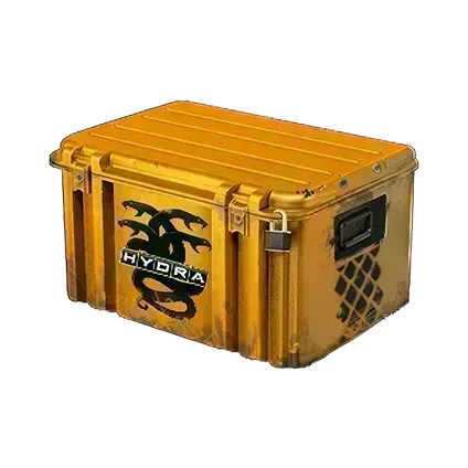 Operation Hydra Case