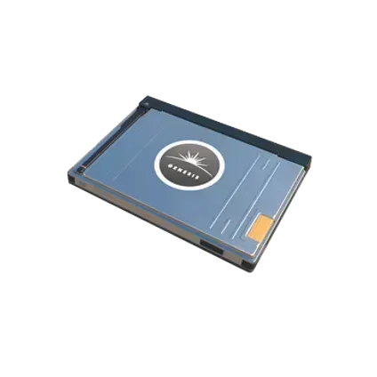 Терминал генезис