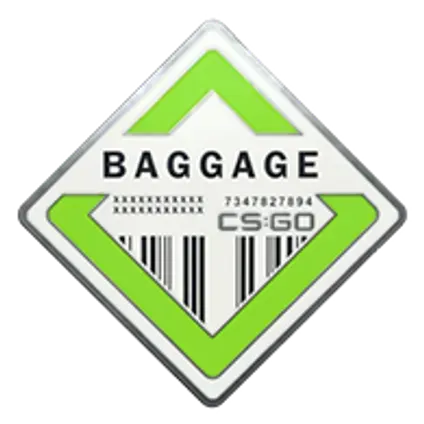 Коллекция "Baggage"