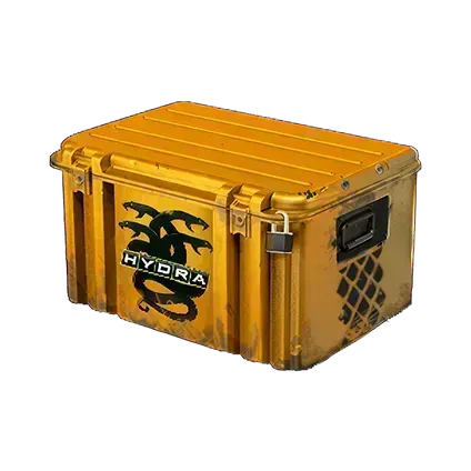 Operation Hydra Case