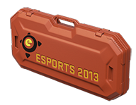 eSports 2013