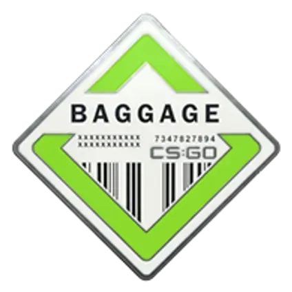 Коллекция "Baggage"