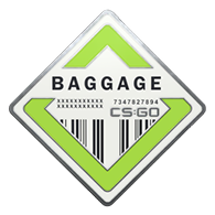 Коллекция "Baggage"