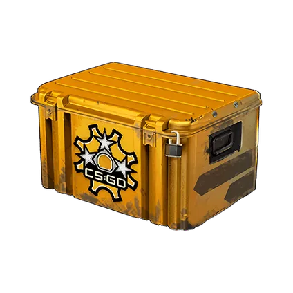 Revolver Case
