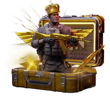ELITE CASE