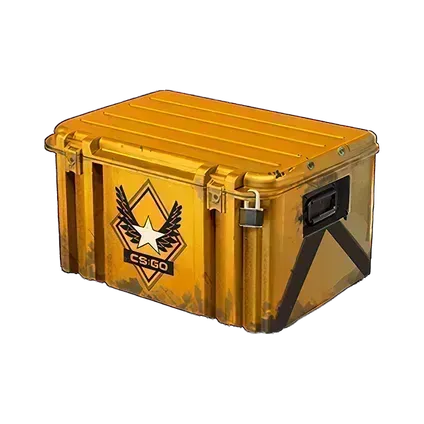 Winter Offensive Weapon case