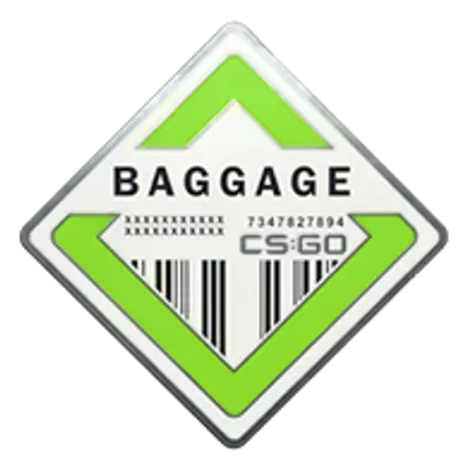 Коллекция "Baggage"