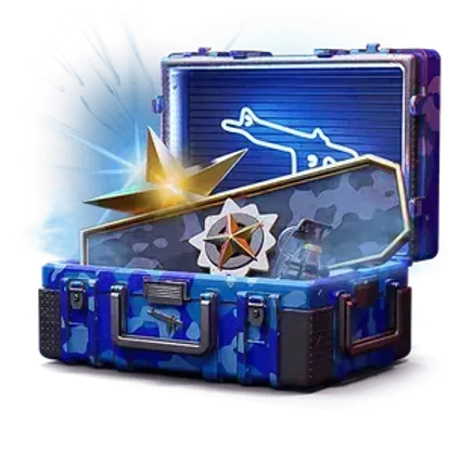 Vérification du jeu équitable du coffre Distinguished master guardian