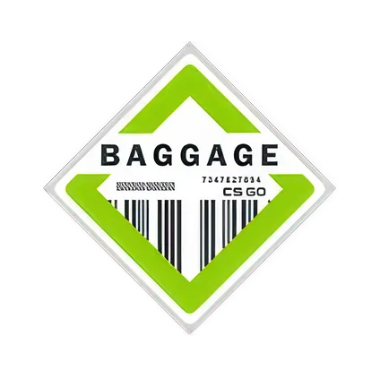 Коллекция "Baggage"
