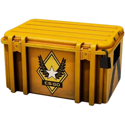 Winter Offensive Weapon case