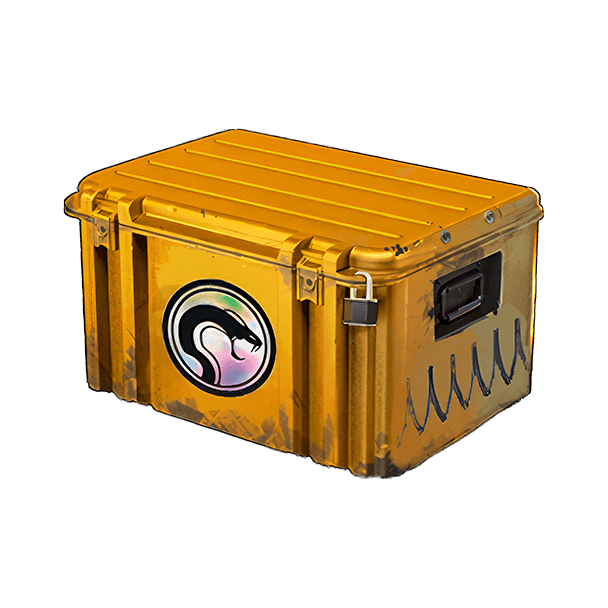 Recoil Case