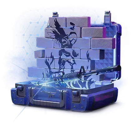 Checking the fair play of the case Graffiti "Overpass"